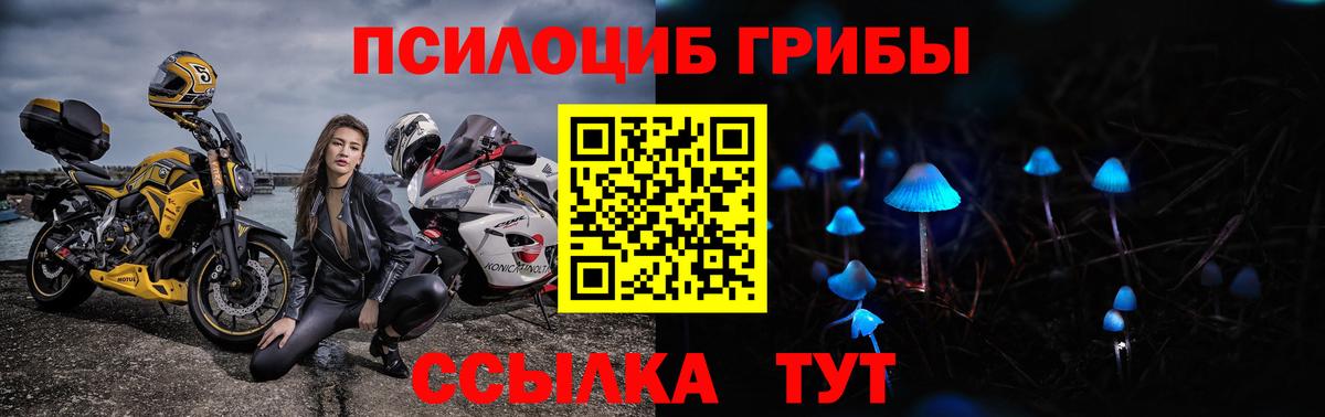 Галлюциногенные грибы Cubensis Ставрополь